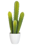 Kunsttaim CACTUS 5-osaline, roheline