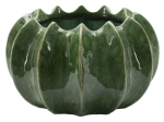 Vaas CACTUS BASKET &Oslash; 22 x 13,5 cm, roheline