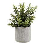 Kunsttaim SUCCULENT tsemendipotiga, hall/roheline