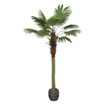 Kunstpalm WACHLARZOWA 200 cm