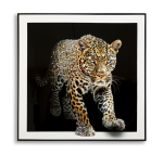 Maal JAGUAR 82x82x4cm, mitmev&auml;rviline