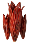 Vaas CLAY, punane