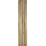 Taimetugi BAMBUSKEPID IN GARDEN 180cm 10tk