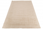 Vaip RECTANGLE viskoosist ja puuvillast, beež
