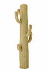 Dekoratiivtaim CACTUS GRASS XL, looduslik