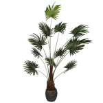 Kunstpalm WACHLARZOWA 200 cm