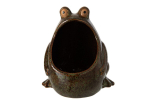 Lillepott FROG suur, roheline/pruun