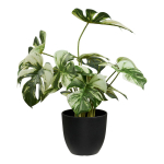 Kunsttaim MONSTERA, roheline