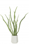Kunsttaim SUCCULENT H92cm, roheline