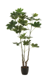 Kunstpuu MONEY TREE H157cm, roheline