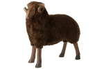 Dekoratsioon SHEEP HORNS LIMEPOWDER, pruun