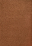 Villane vaip CALIGARI 160x230 cm, terrakota