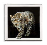 Maal JAGUAR 82x82x4cm, mitmev&auml;rviline