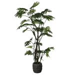 Kunsttaim FILODENDRON 210 cm, roheline