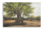 Maal OLIVE 120x80x3,8cm, mitmev&auml;rviline