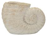 Vaas SHELL 33x19x23cm, beež