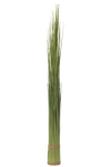 Kunsttaim GRASSES H145cm, roheline
