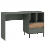 Kirjutuslaud POZZI 120x58, salveiroheline/tamm