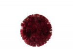 Dekoratsioon DISC DECO FEATHERS, bordeaux