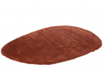 Vaip SHAGGY 300x200cm, vask