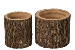 Lillepottide komplekt TREE TRUNK 2tk, naturaalne