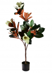 Kunsttaim VIRIDIS magnoolia 120cm, must pott