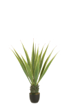 Kunsttaim AGAVE H115cm