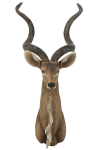 Dekoratsioon ANTELOPE HEAD, pruun