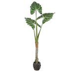 Kunsttaim ALOKAZJA CUCULLATA 180 cm