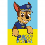 PAW PATROL k&auml;ter&auml;tik 30 x 50 cm
