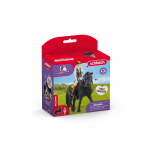 SCHLEICH HORSE CLUB m&auml;ngukomplekt Hobiklubi Tori & Princess