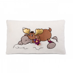 NICI pehme padi p&otilde;der Thure 43 x 25 cm