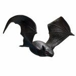 Veniv m&auml;nguasi, nahkhiir