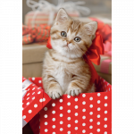 TREFL Mini 54 pusle Armsad loomad