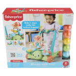 FISHER-PRICE Infant interaktiivne k&auml;imistugi - kilpkonn