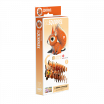 EUGY 3D kokkupandav mudel, Orav