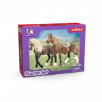 SCHLEICH HORSE CLUB Horse Club Stardikomplekt