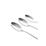Lusikate komplekt Homla VIENNA Silver, 10 tk (20,5 cm)