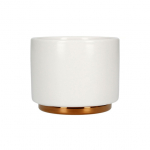 Cappuccino tass Fellow Monty Milk Art Matte White, 190 ml