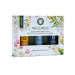 Eeterlikud &otilde;lid Aroomiteraapia komplekt Wellness, Song of India
