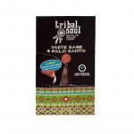 Backflow viirukikoonused White Sage Palo Santo, Tribal Soul, 15g