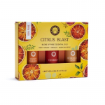 Eeterlike &otilde;lide aroomiteraapia komplekt Citrus Blast, Song of India