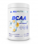 BCAA Instant Max Support, Orange - 500g