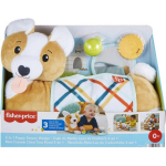 Fisher Price HJW10 Arendav m&auml;nguasi