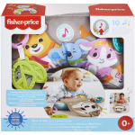 Fisher Price GRR01 Hobuserauakujuline padi