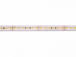 LED strip, 5m reel, 24V 9.6W/m IP67, T shape, cold white 6500K