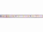 LED-ribad, 5 m rull, 24 V, 4,8 W/m, hermeetiline, IP67, T-kujuline, soe valge 3000 K