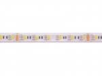 LED riba 19.2W/m, 24V, IP67, RGBW + soe valge 3000K, k&otilde;rge efektiivsusega, PREMIUM AKTO