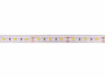 LED strp, 5m rull, 12V 4.8W/m hermeetiline IP67 T kuju, k&uuml;lmvalge 6500K