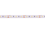 LED-lint 3 m rullis, 12 V, 14,4 W/m, 60 LED-i/m, 4000 K neutraalne valge, IP20